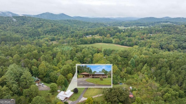 456 Pickelsimer Rd, Blairsville, GA 30512 - view from above of property with a forest and a mountainous background