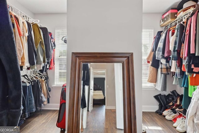 309 Nashview Trl, Allenhurst, GA 31301 - spacious closet featuring wood finished floors