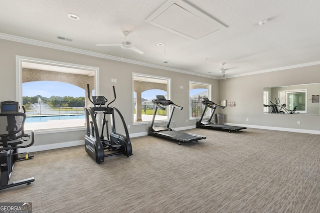 125 The Villas Way, Kingsland, GA 31548 - gym featuring a ceiling fan, crown molding, carpet, and plenty of natural light