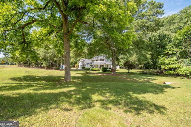 view of grassy yard