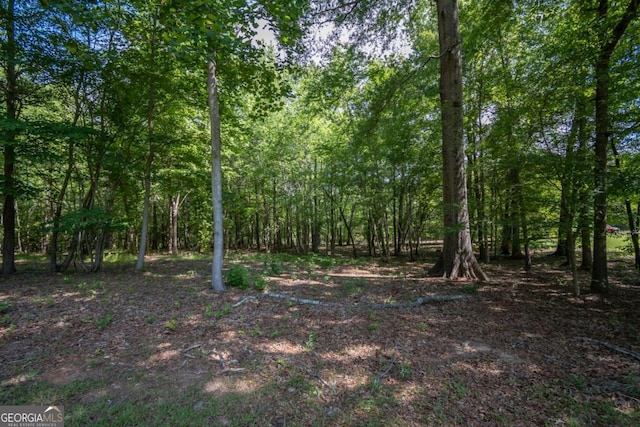 view of woods