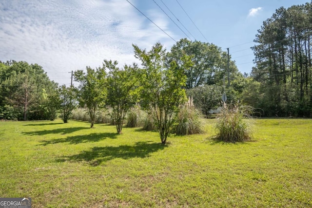view of grassy yard