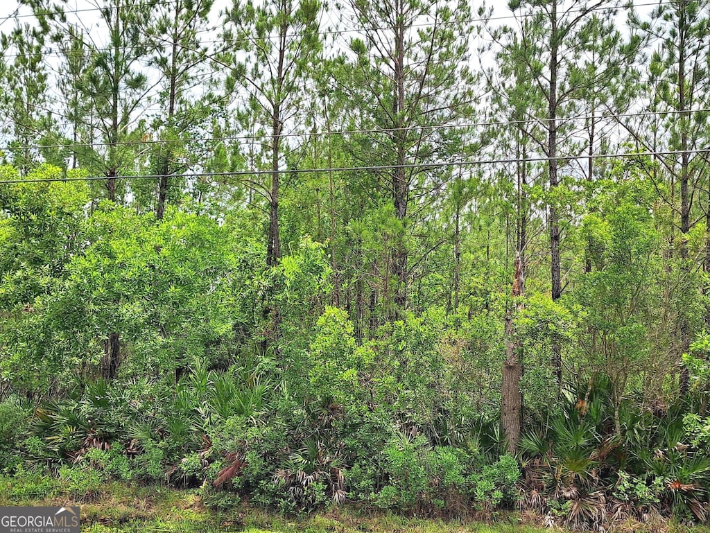 0 US Highway 17, Waverly, GA 31565