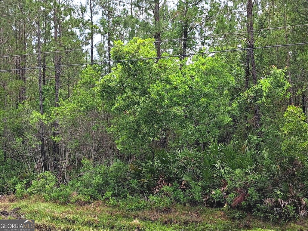 0 US Highway 17, Waverly, GA 31565