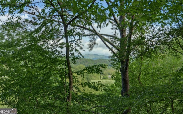 315 Call Wright Rd, Ellijay, GA 30540 - view of mountain background