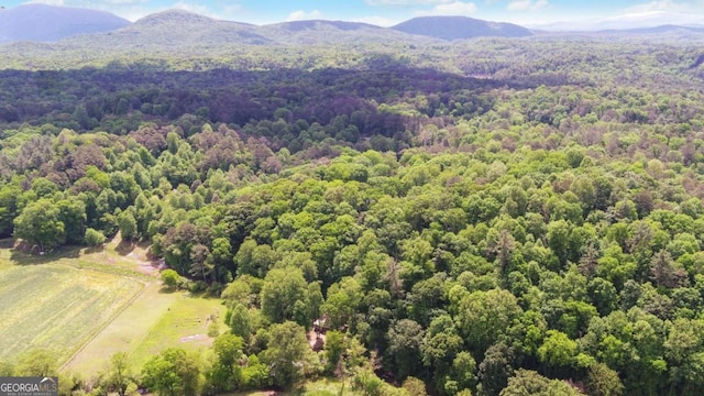 315 Call Wright Rd, Ellijay, GA 30540 - bird's eye view of mountains