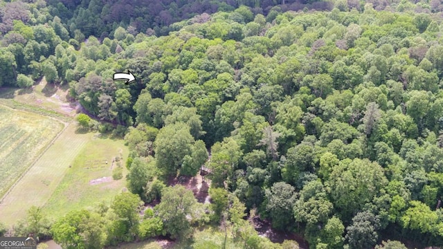 315 Call Wright Rd, Ellijay, GA 30540 - aerial view of a heavily wooded area
