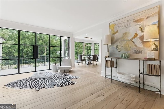 3625 Tuxedo Rd NW, Atlanta, GA 30305 - living area with hardwood / wood-style floors and baseboards