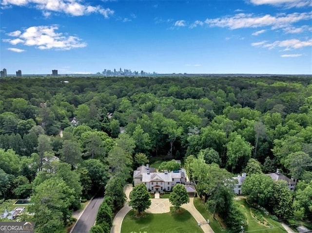 3625 Tuxedo Rd NW, Atlanta, GA 30305 - bird's eye view of a heavily wooded area