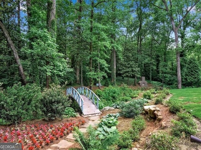 3625 Tuxedo Rd NW, Atlanta, GA 30305 - view of yard