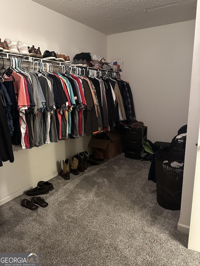spacious closet featuring carpet