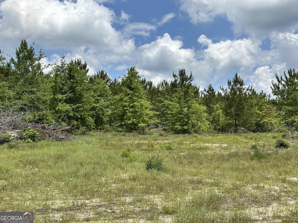 0 Hwy 19, Dublin, GA 31021