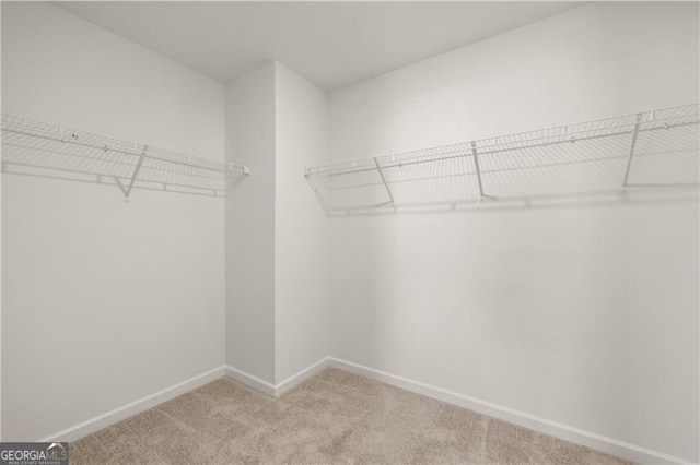 45 Vermillion Way, Covington, GA 30016 - walk in closet featuring carpet flooring