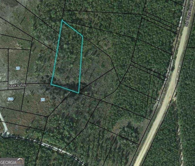 LOT21 Hawks Way, Waynesville, GA 31566