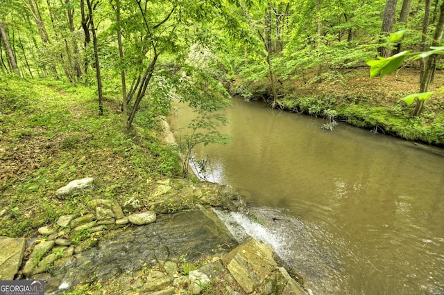 179 Huckleberry Ln, Ellijay, GA 30536 - water view