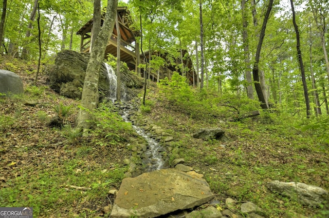 179 Huckleberry Ln, Ellijay, GA 30536 - view of undeveloped land