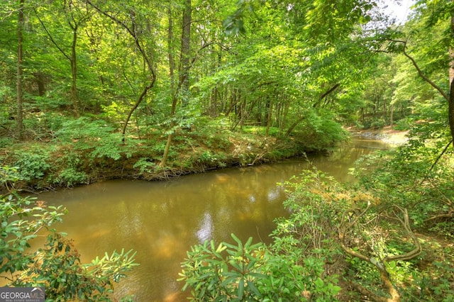 179 Huckleberry Ln, Ellijay, GA 30536 - water view featuring a forest