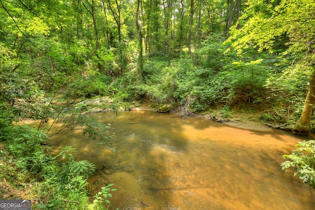 179 Huckleberry Ln, Ellijay, GA 30536 - view of wooded area