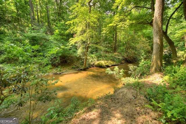 179 Huckleberry Ln, Ellijay, GA 30536 - view of tree filled area
