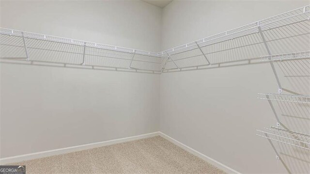 116 Four Seasons Blvd, Dallas, GA 30132 - walk in closet featuring carpet