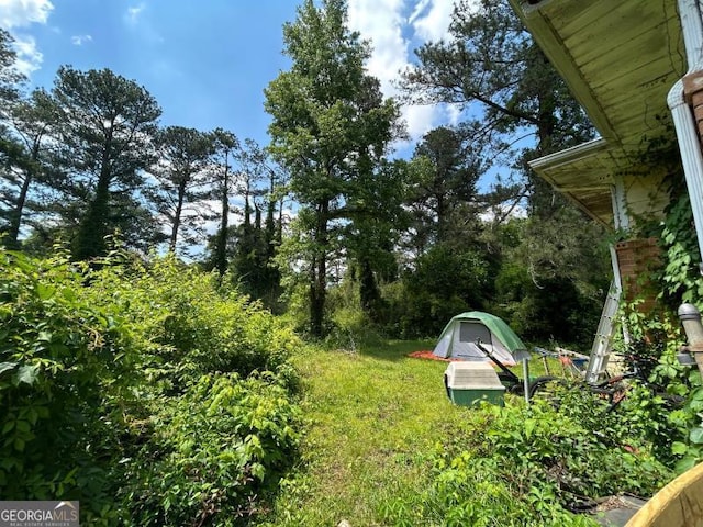 1711 Mckenzie Dr, Decatur, GA 30032 - view of yard