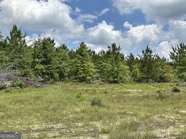 0 Rock Springs Rd, Dublin, GA 31021