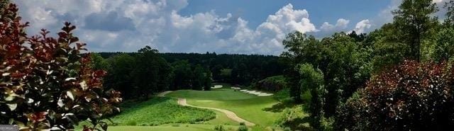 134 Fairway Run, Forsyth, GA 31029