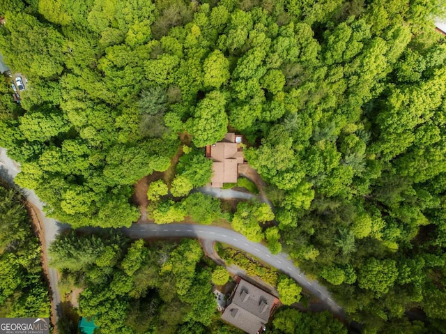 1600 My Mountain Rd, Morganton, GA 30560 - view of property location