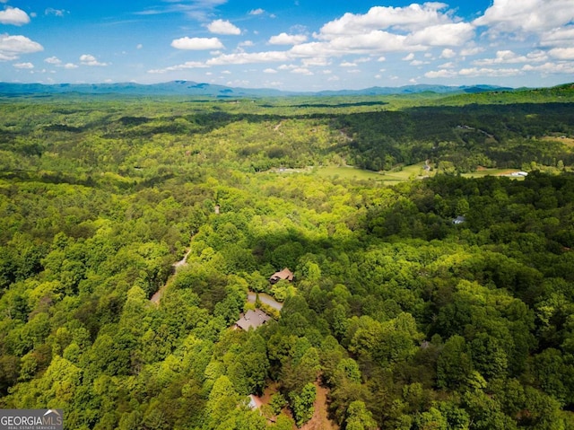 1600 My Mountain Rd, Morganton, GA 30560 - drone / aerial view of a forest