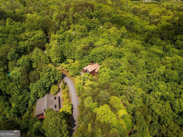 1600 My Mountain Rd, Morganton, GA 30560 - drone / aerial view of a forest