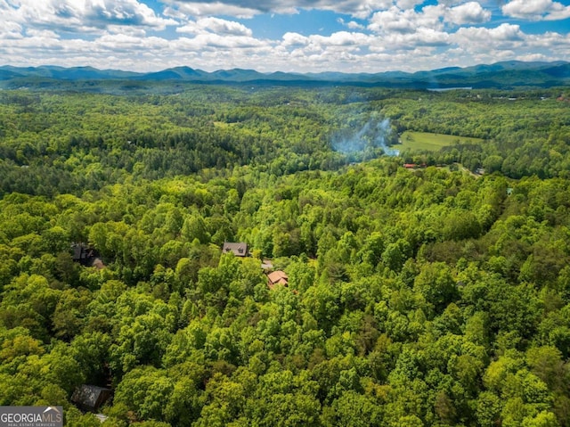 1600 My Mountain Rd, Morganton, GA 30560 - bird's eye view of a heavily wooded area and a mountainous background
