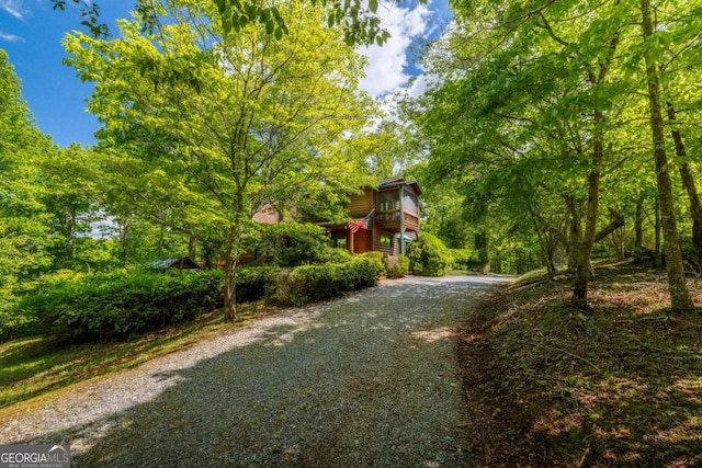 1600 My Mountain Rd, Morganton, GA 30560 - view of dirt / gravel road