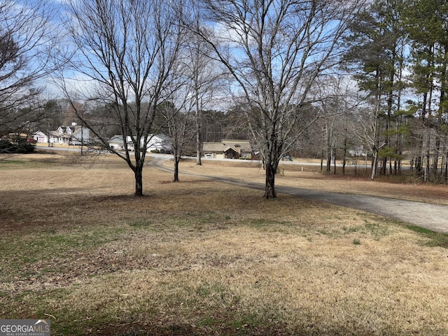 175 Thigpen Rd, Newnan, GA 30263 - view of yard