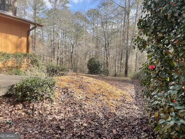 175 Thigpen Rd, Newnan, GA 30263 - view of yard featuring a forest view