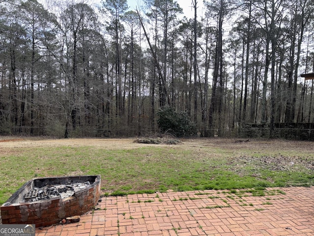 175 Thigpen Rd, Newnan, GA 30263 - view of yard featuring an outdoor fire pit and a patio