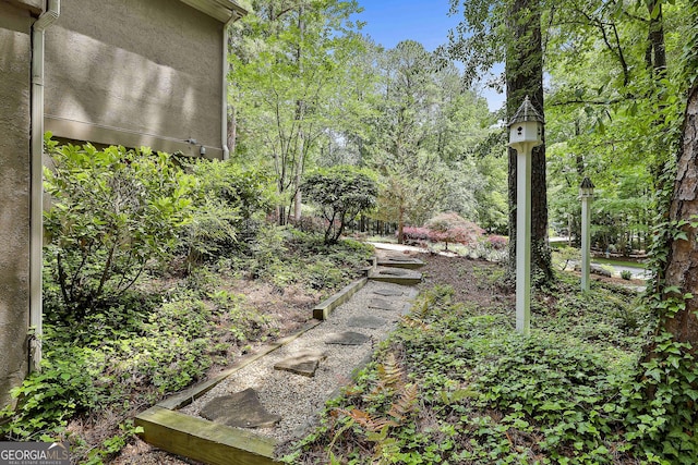 100 Rosemont, Peachtree City, GA 30269 - view of yard