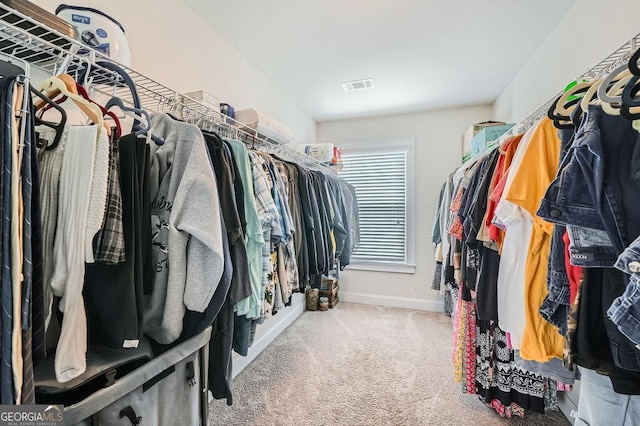 spacious closet with carpet floors