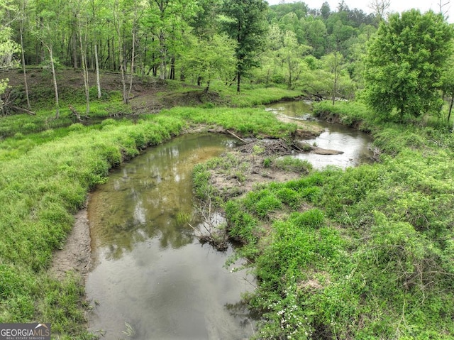 120 Christopher Dr, Ellijay, GA 30540 - water view featuring a heavily wooded area