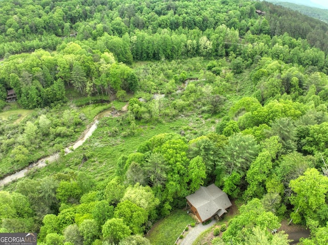 120 Christopher Dr, Ellijay, GA 30540 - aerial view of a heavily wooded area