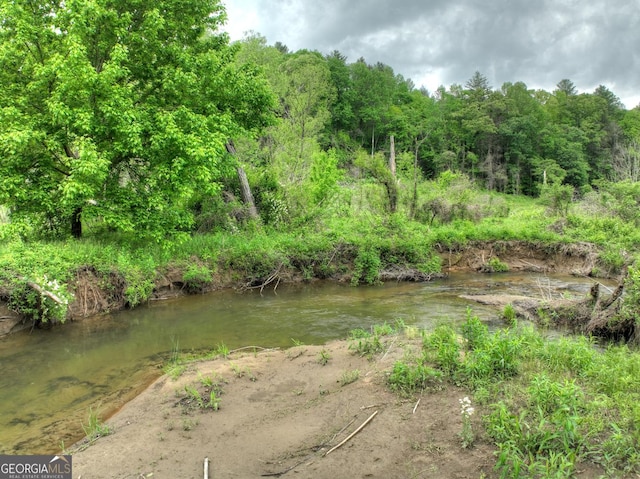 120 Christopher Dr, Ellijay, GA 30540 - view of yard