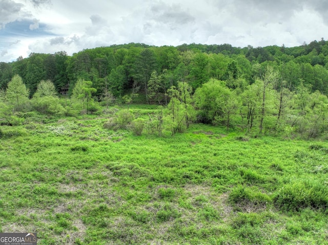 120 Christopher Dr, Ellijay, GA 30540 - view of woods