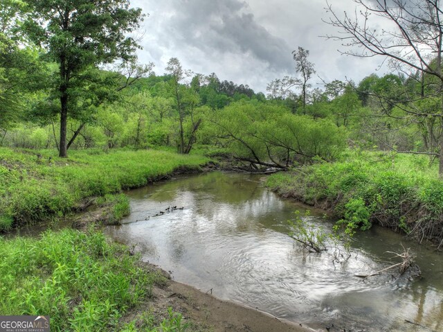 120 Christopher Dr, Ellijay, GA 30540 - water view featuring a heavily wooded area