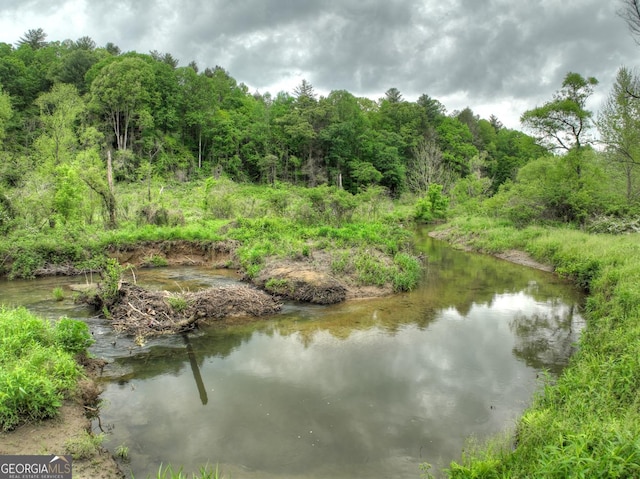 120 Christopher Dr, Ellijay, GA 30540 - water view