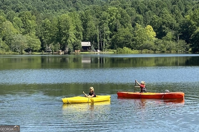 120 Christopher Dr, Ellijay, GA 30540 - dock area with a view of trees and a water view