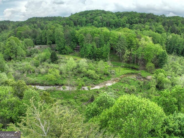 120 Christopher Dr, Ellijay, GA 30540 - view of wooded area