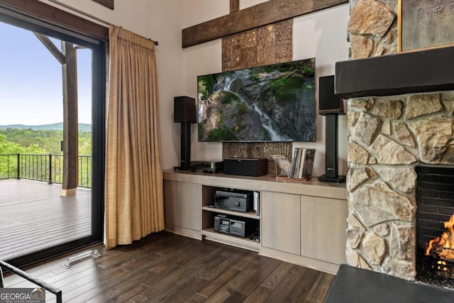 312 Charles Rd, Ellijay, GA 30540 - living room featuring a stone fireplace, dark wood-style flooring, and healthy amount of natural light