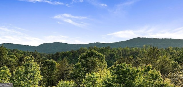 312 Charles Rd, Ellijay, GA 30540 - view of mountain background with a heavily wooded area