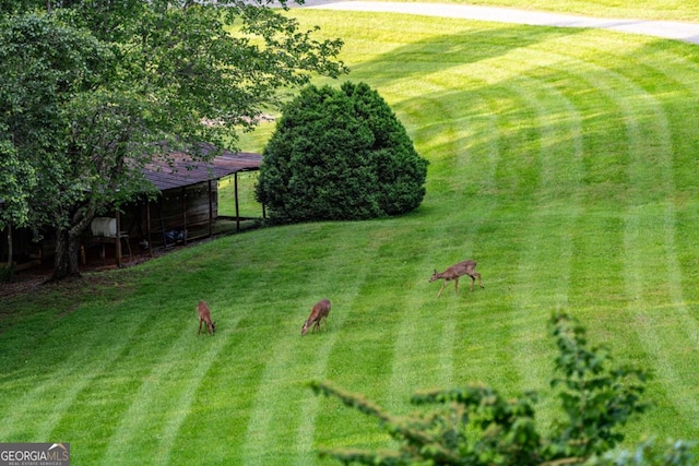 312 Charles Rd, Ellijay, GA 30540 - view of grassy yard
