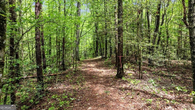 312 Charles Rd, Ellijay, GA 30540 - view of wooded area