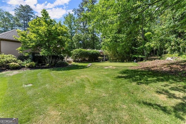 194 Sentinel Pl SE, Marietta, GA 30067 - view of green lawn
